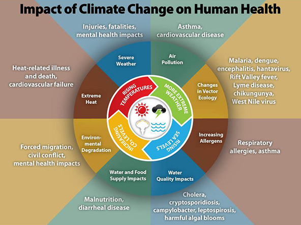 Source: Centre for Disease Control and Prevention, USA. https://www.cdc.gov/climateandhealth/effects/default.htm