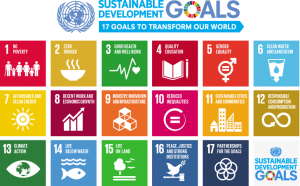 SDGs summary