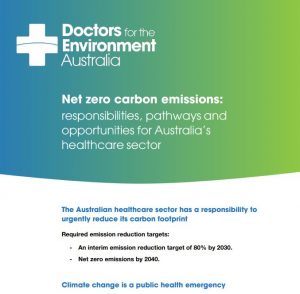 https://dea.org.au/wp-content/uploads/2020/12/DEA-Net-Zero-report_v11.pdf