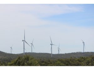 web-Mt Emerald wind farm Tolga 2